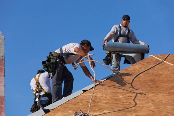 Best Roof Waterproofing Services  in Utica, NY