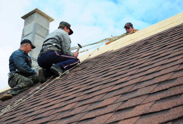 Best Roof Gutter Cleaning  in Utica, NY